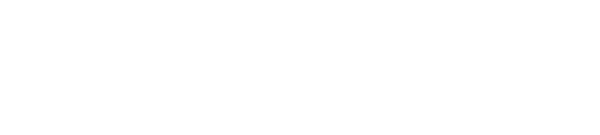 logo silicon