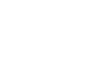 logo druid